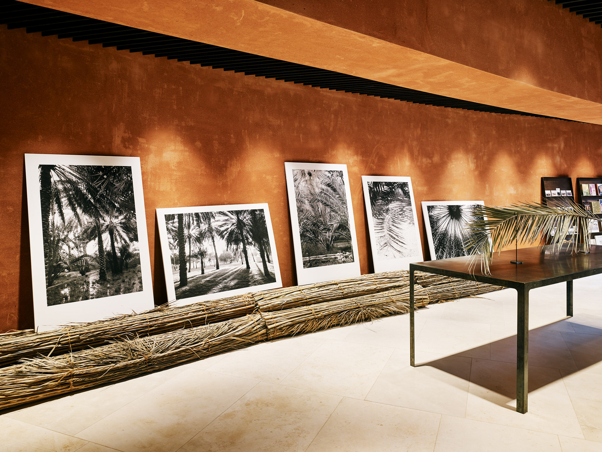 E15547 Alpa 050368 SCREEN